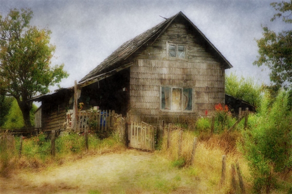 Photograph Sergio Levin House With Garden on One Eyeland